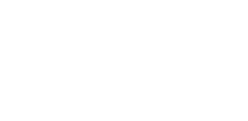 flutter_logo