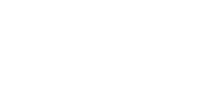 arista-partner