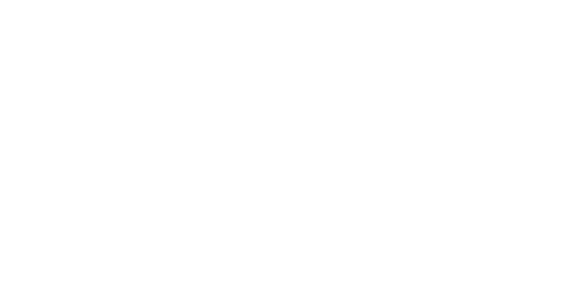 netapp-partner