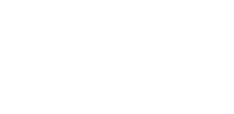 netskope-partner