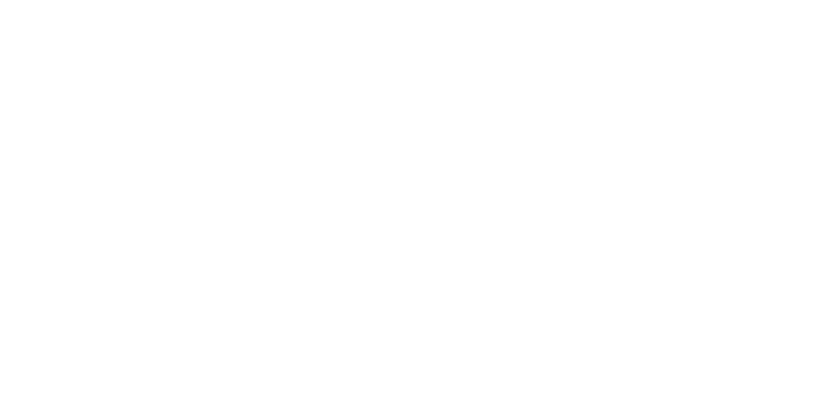palo-ato-partner